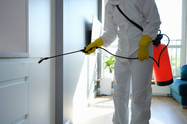 Best Local Mold Removal Service  in Central City, NE