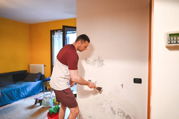 Best Mold Remediation  in Central City, NE